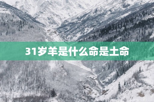 31岁羊是什么命是土命