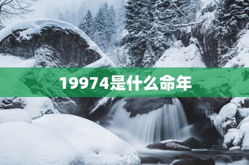19974是什么命年