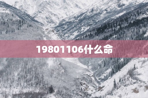 19801106什么命