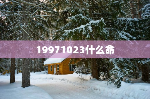 19971023什么命