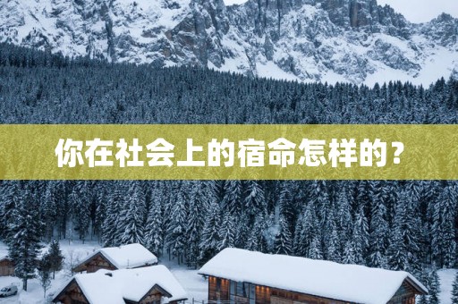 你在社会上的宿命怎样的？