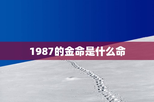 1987的金命是什么命