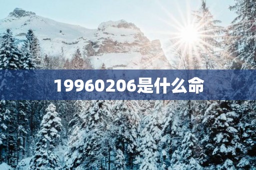 19960206是什么命