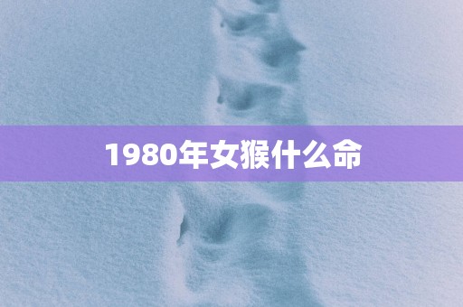 1980年女猴什么命