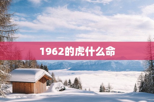 1962的虎什么命