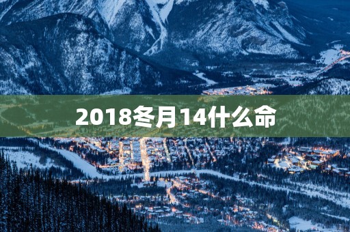 2018冬月14什么命