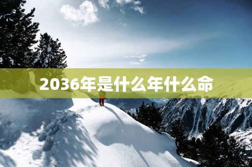 2036年是什么年什么命