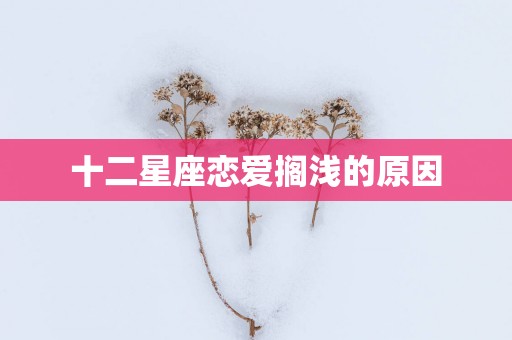 十二星座恋爱搁浅的原因