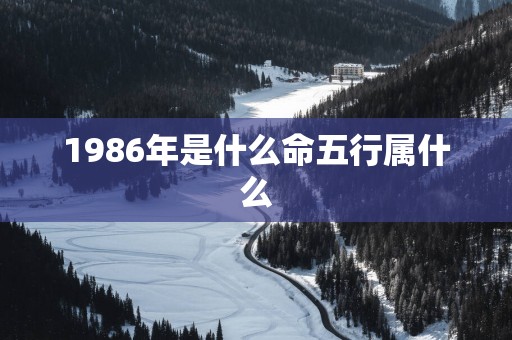 1986年是什么命五行属什么