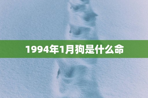 1994年1月狗是什么命