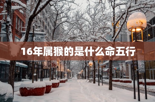 16年属猴的是什么命五行