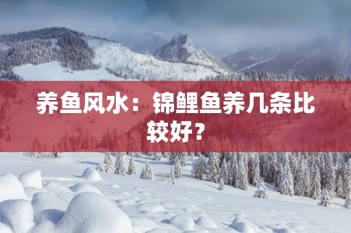 养鱼风水：锦鲤鱼养几条比较好？