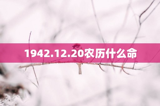 1942.12.20农历什么命