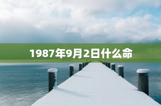 1987年9月2日什么命