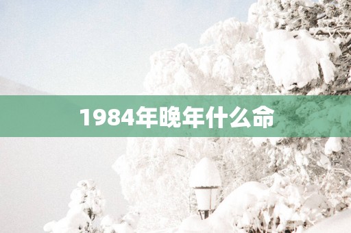 1984年晚年什么命