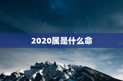 2025属是什么命
