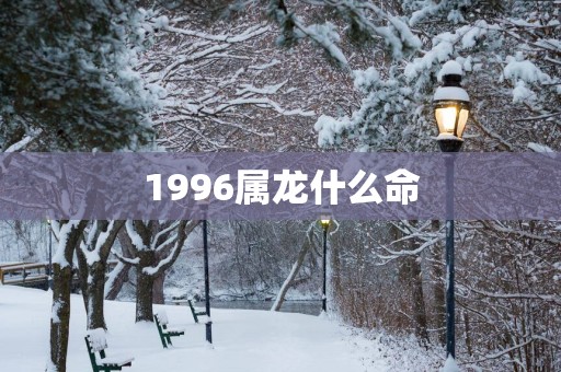 1996属龙什么命