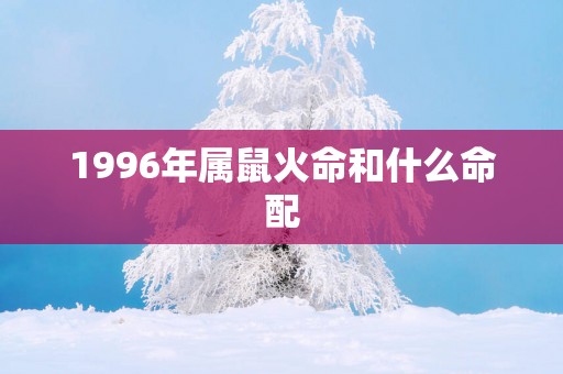 1996年属鼠火命和什么命配