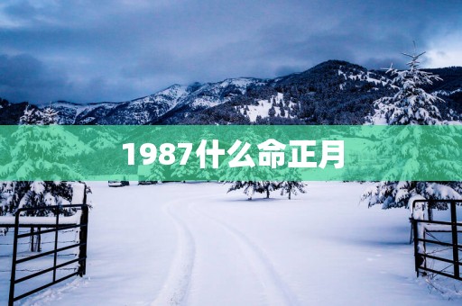 1987什么命正月