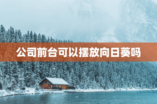 公司前台可以摆放向日葵吗