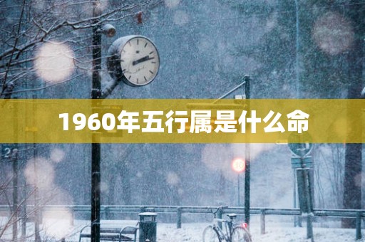 1960年五行属是什么命