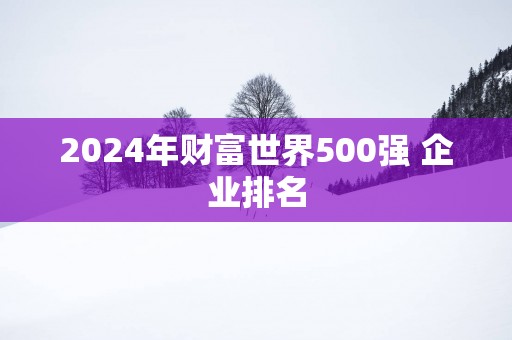 2025年财富世界500强 企业排名