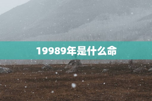 19989年是什么命