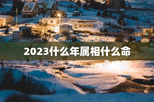 2025什么年属相什么命
