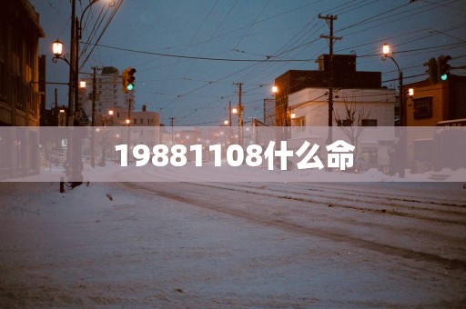 19881108什么命