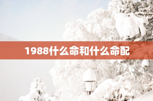1988什么命和什么命配