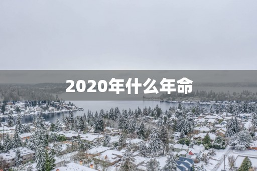 2025年什么年命