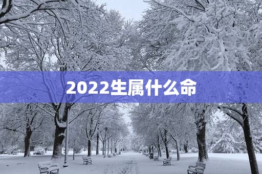 2025生属什么命