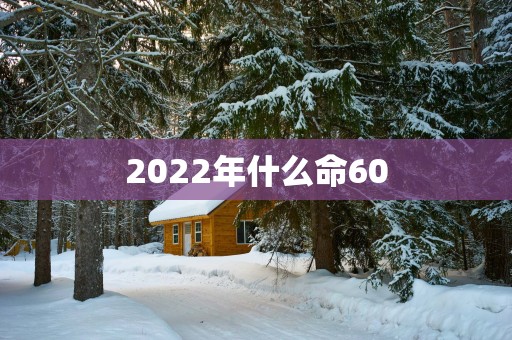 2025年什么命60 2025年什么命60