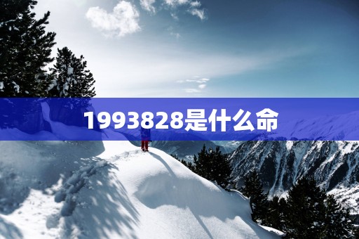 1993828是什么命