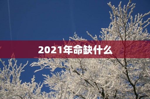 2025年命缺什么