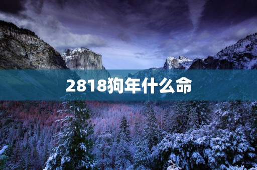 2818狗年什么命