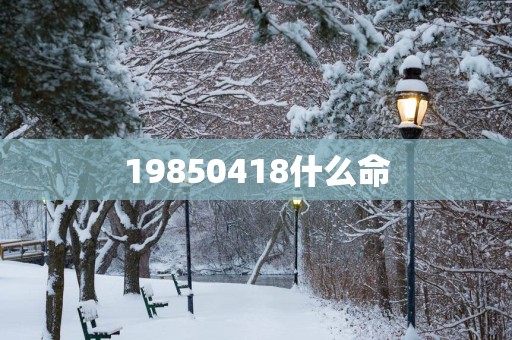 19850418什么命