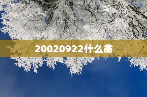 20020922什么命