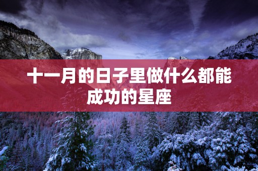 十一月的日子里做什么都能成功的星座