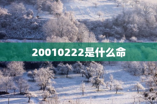 20010222是什么命