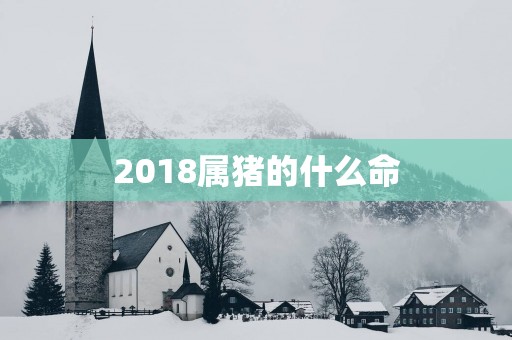 2018属猪的什么命