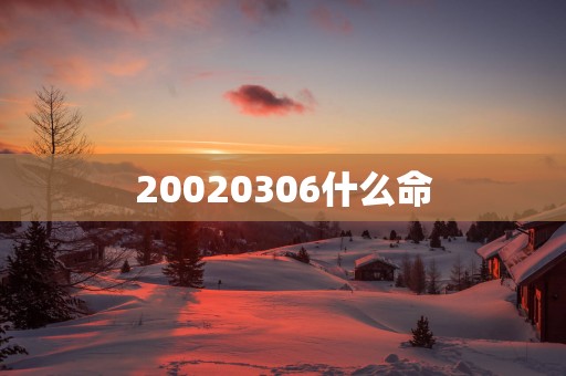 20020306什么命