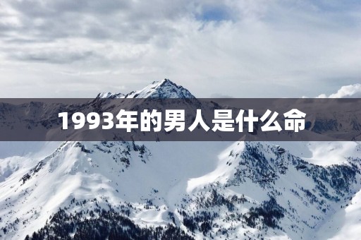 1993年的男人是什么命