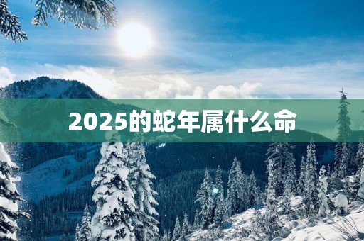 2025的蛇年属什么命
