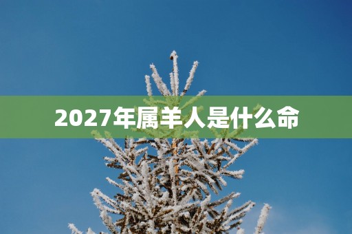 2027年属羊人是什么命