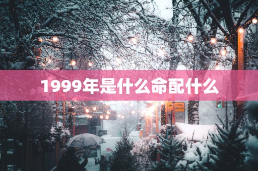 1999年是什么命配什么