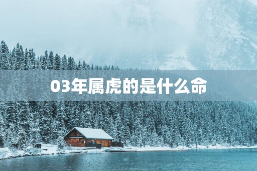03年属虎的是什么命