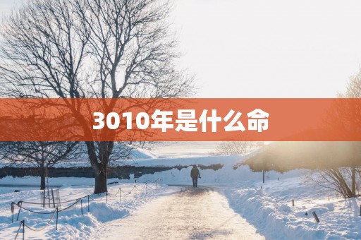 3010年是什么命