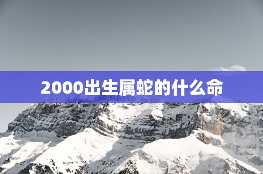 2000出生属蛇的什么命