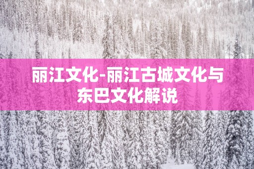丽江文化-丽江古城文化与东巴文化解说